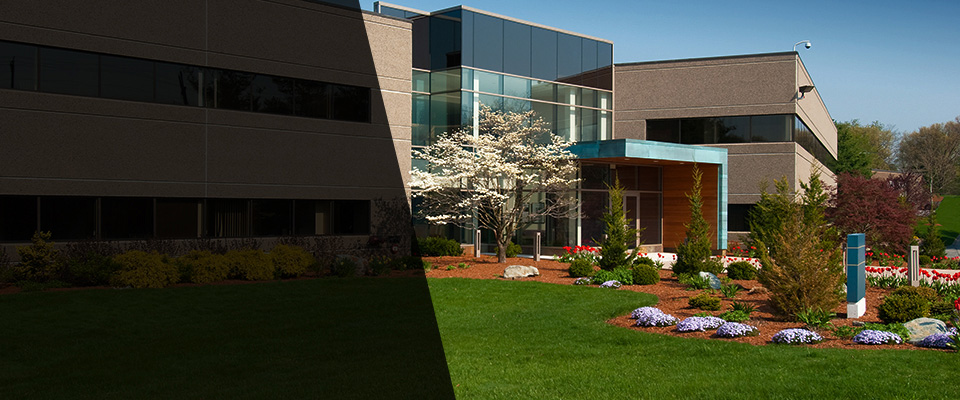 Maple Shade Landscapers