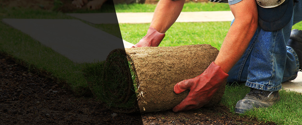 Maple Shade Landscapers